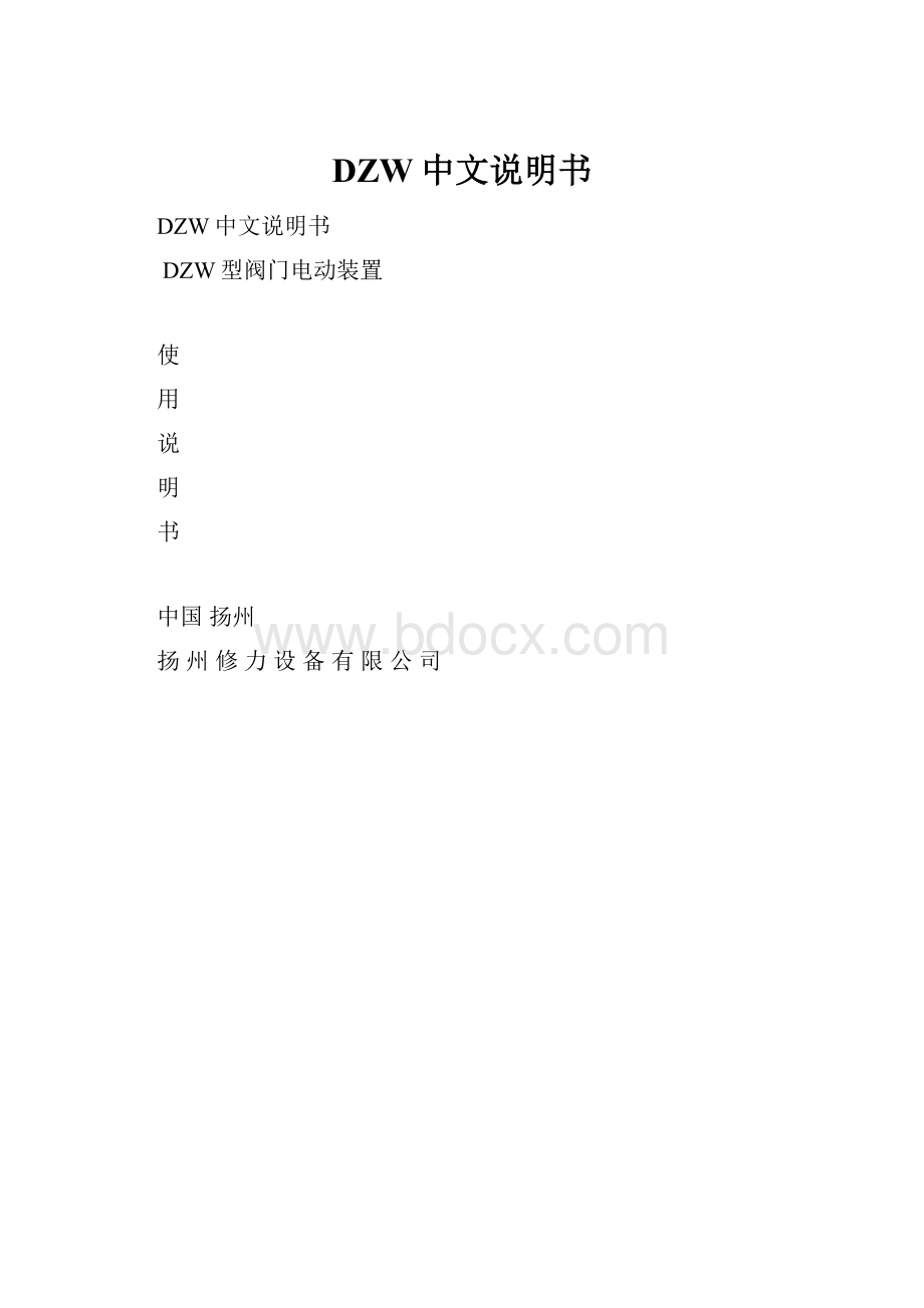 DZW中文说明书.docx