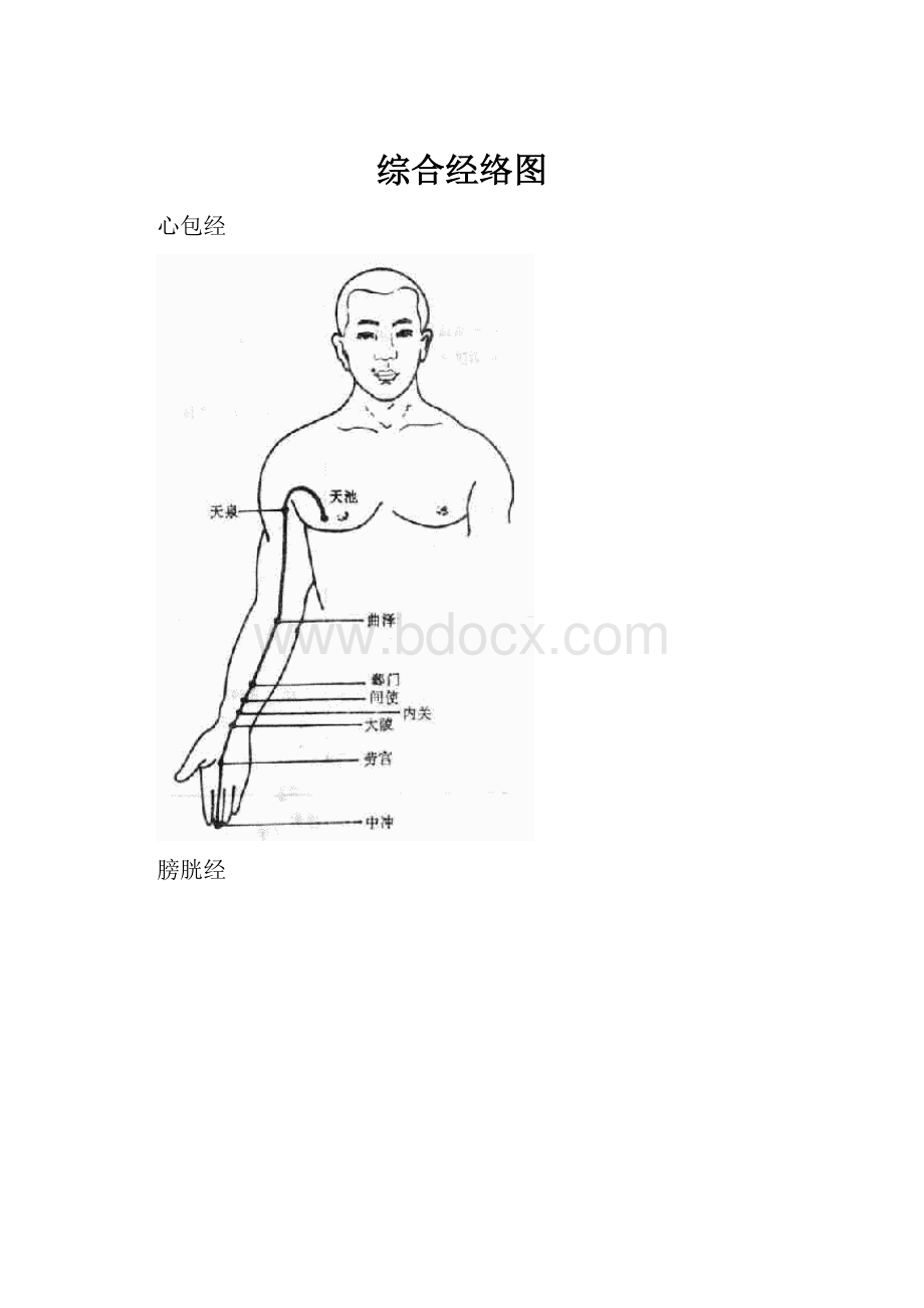 综合经络图.docx_第1页