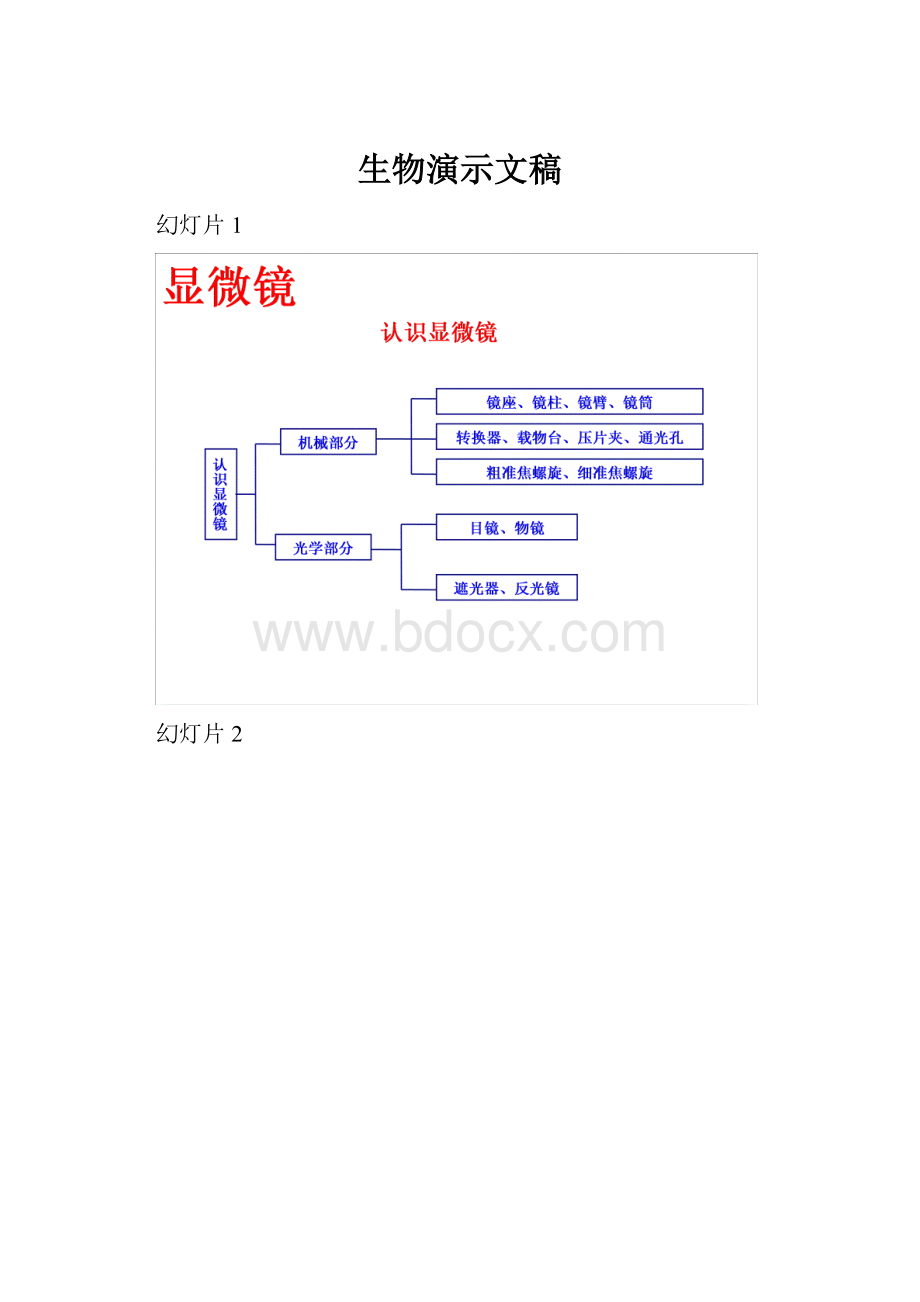 生物演示文稿.docx_第1页