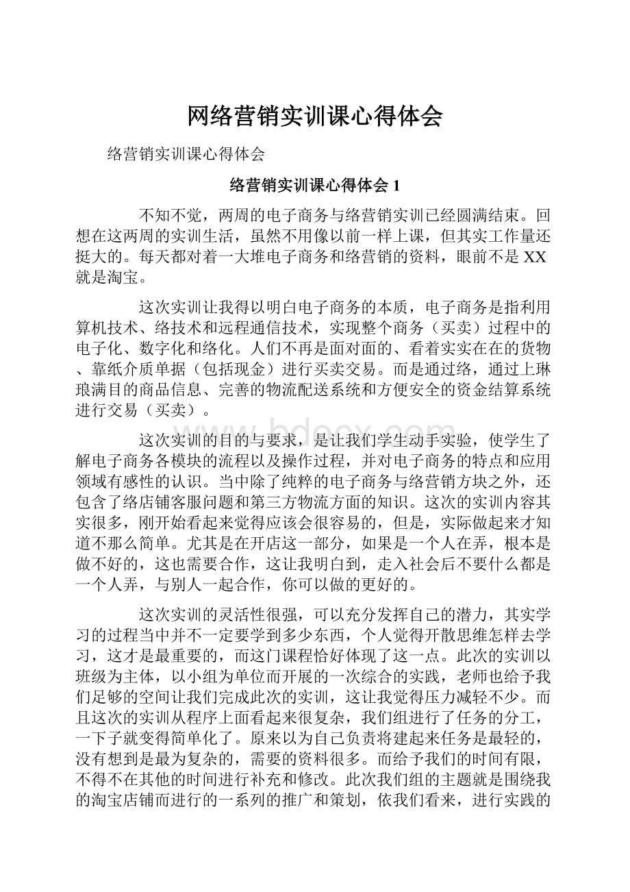 网络营销实训课心得体会.docx