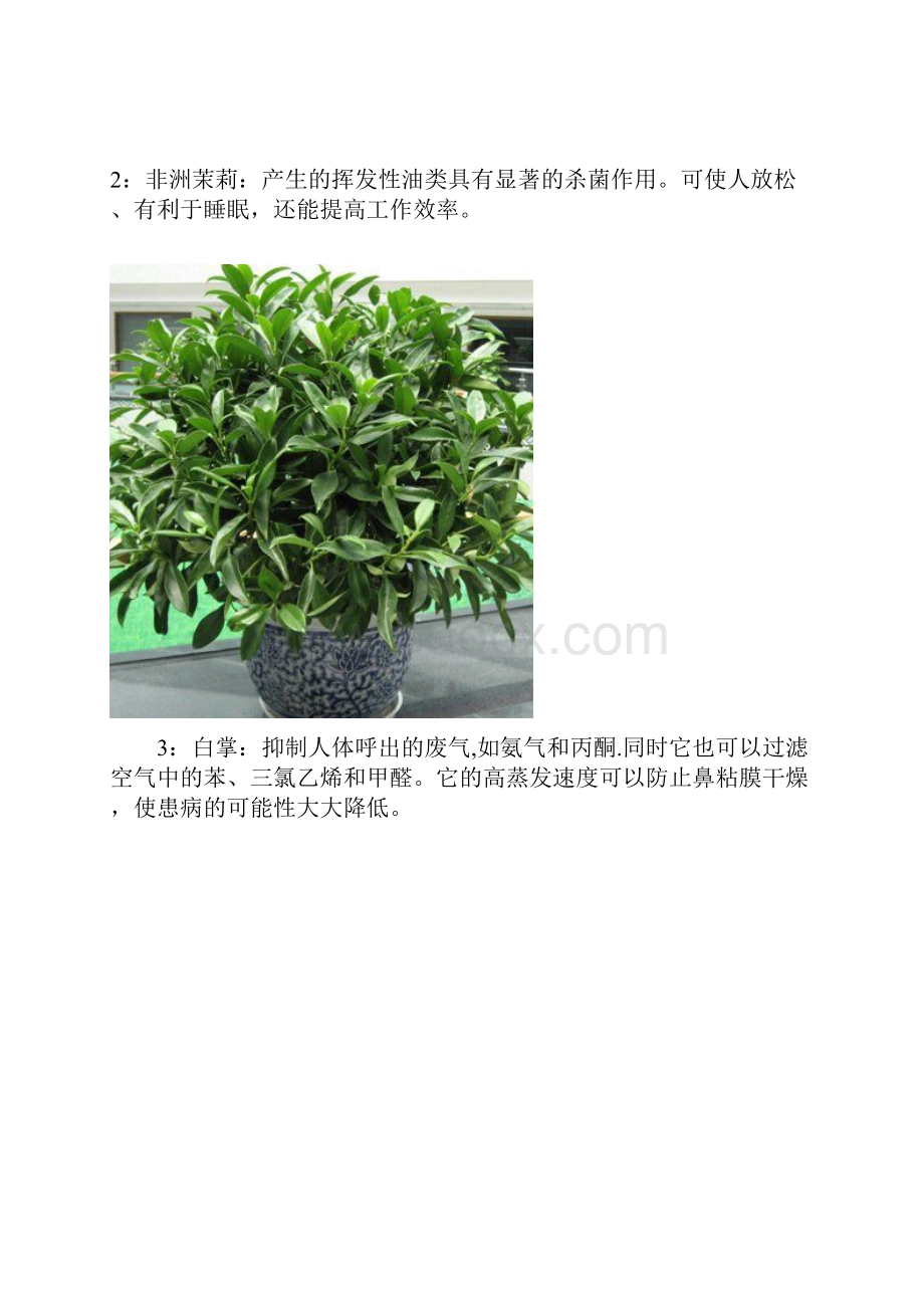 分享18种常见室内植物的功效.docx_第2页