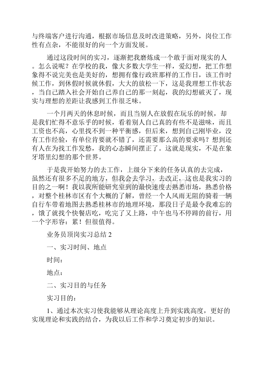 业务员顶岗实习总结精选3篇.docx_第3页