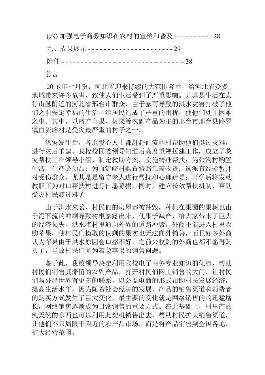 互联网+背景下电子商务精准扶贫方式创新的研究分析报告.docx_第3页