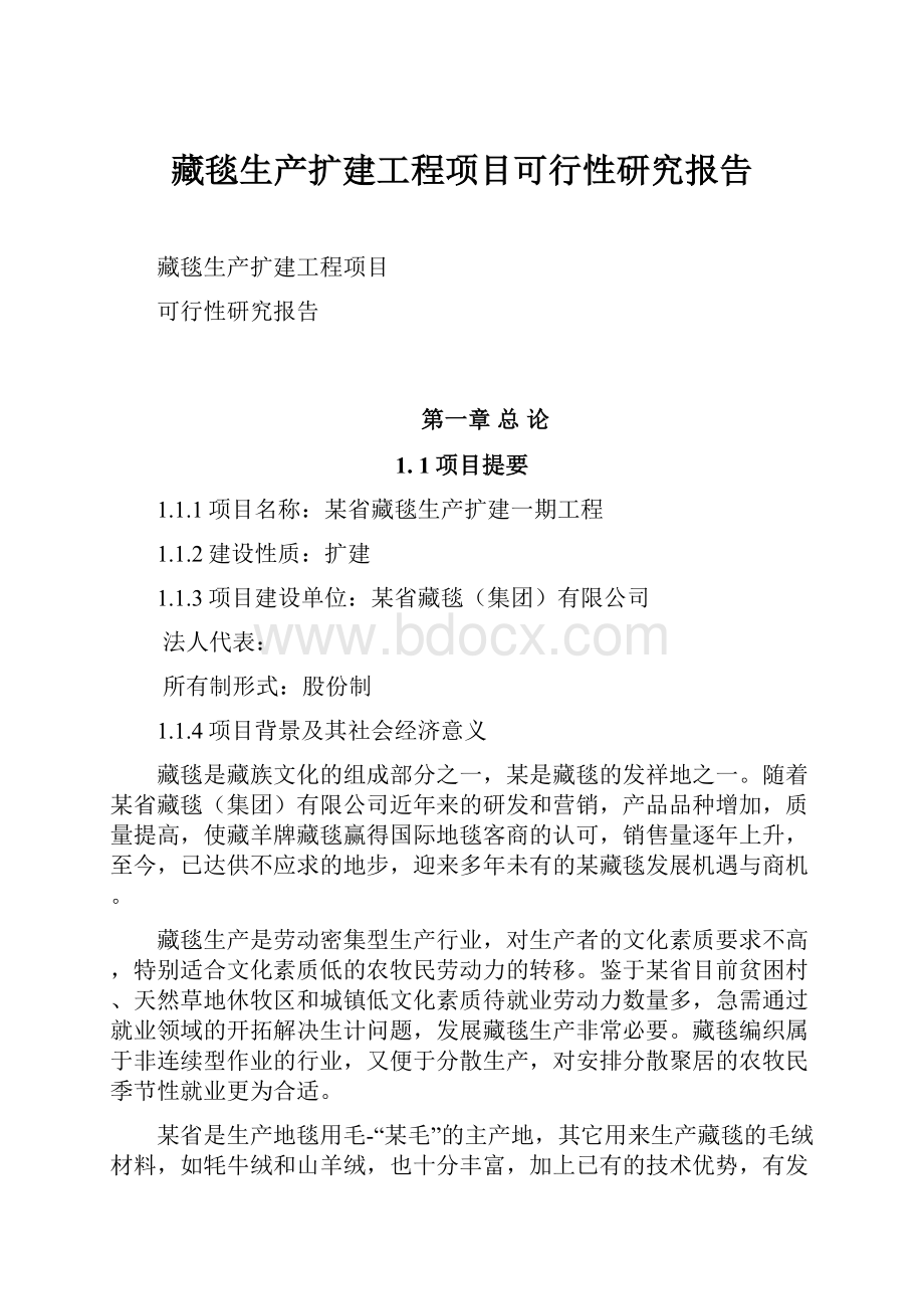 藏毯生产扩建工程项目可行性研究报告.docx