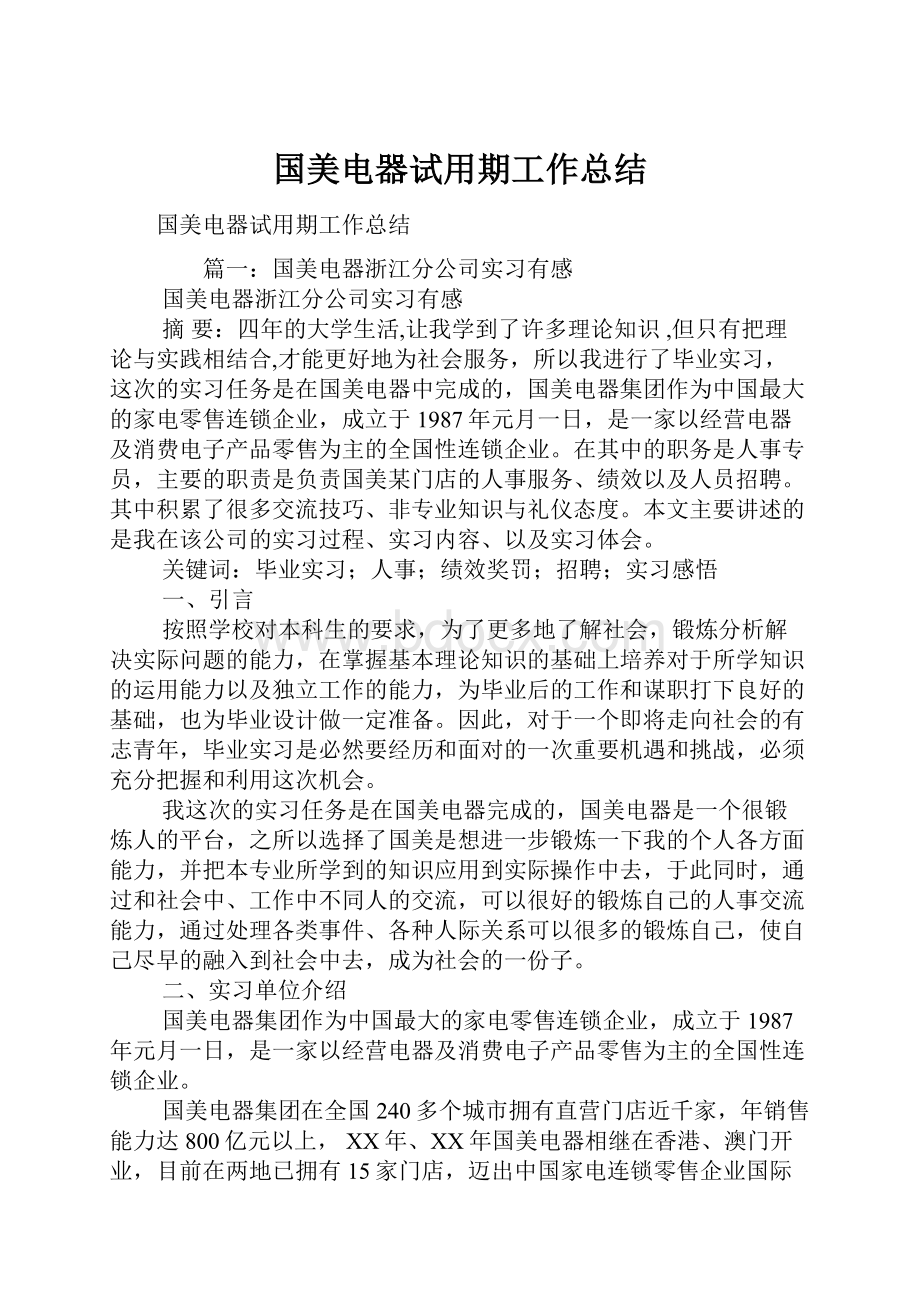 国美电器试用期工作总结.docx