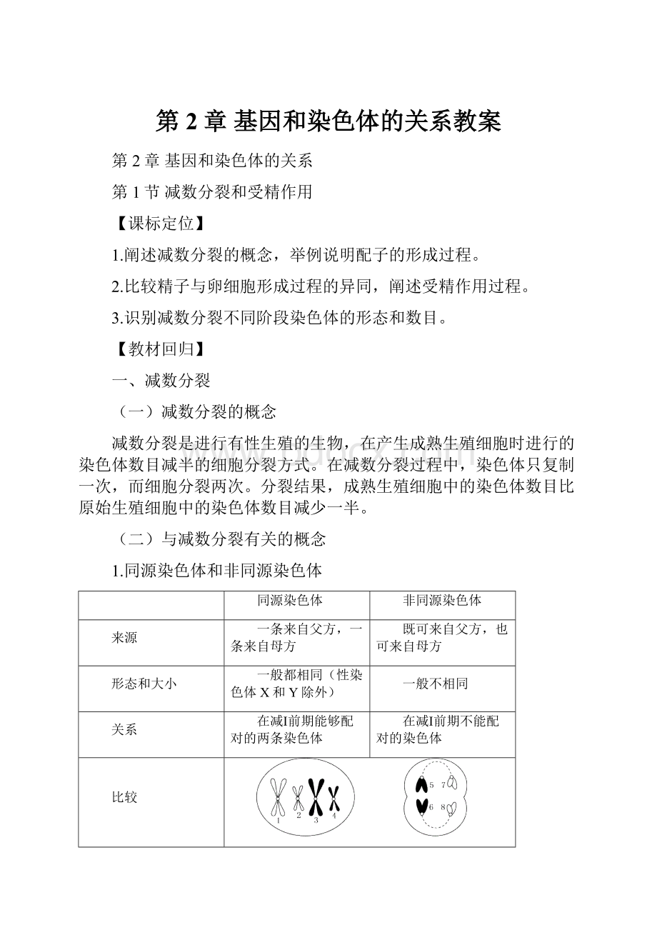 第2章基因和染色体的关系教案.docx_第1页