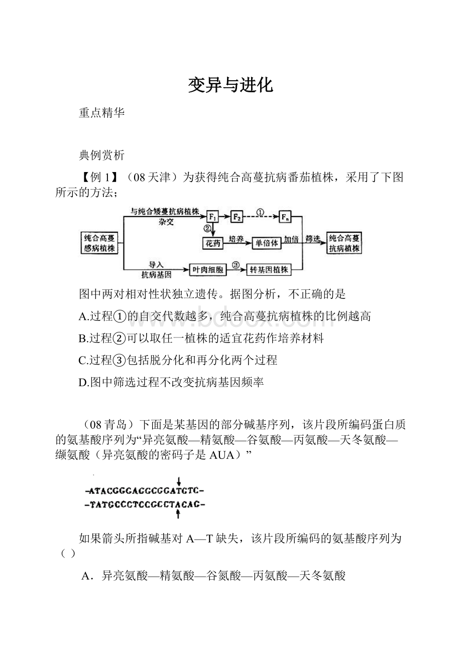 变异与进化.docx_第1页