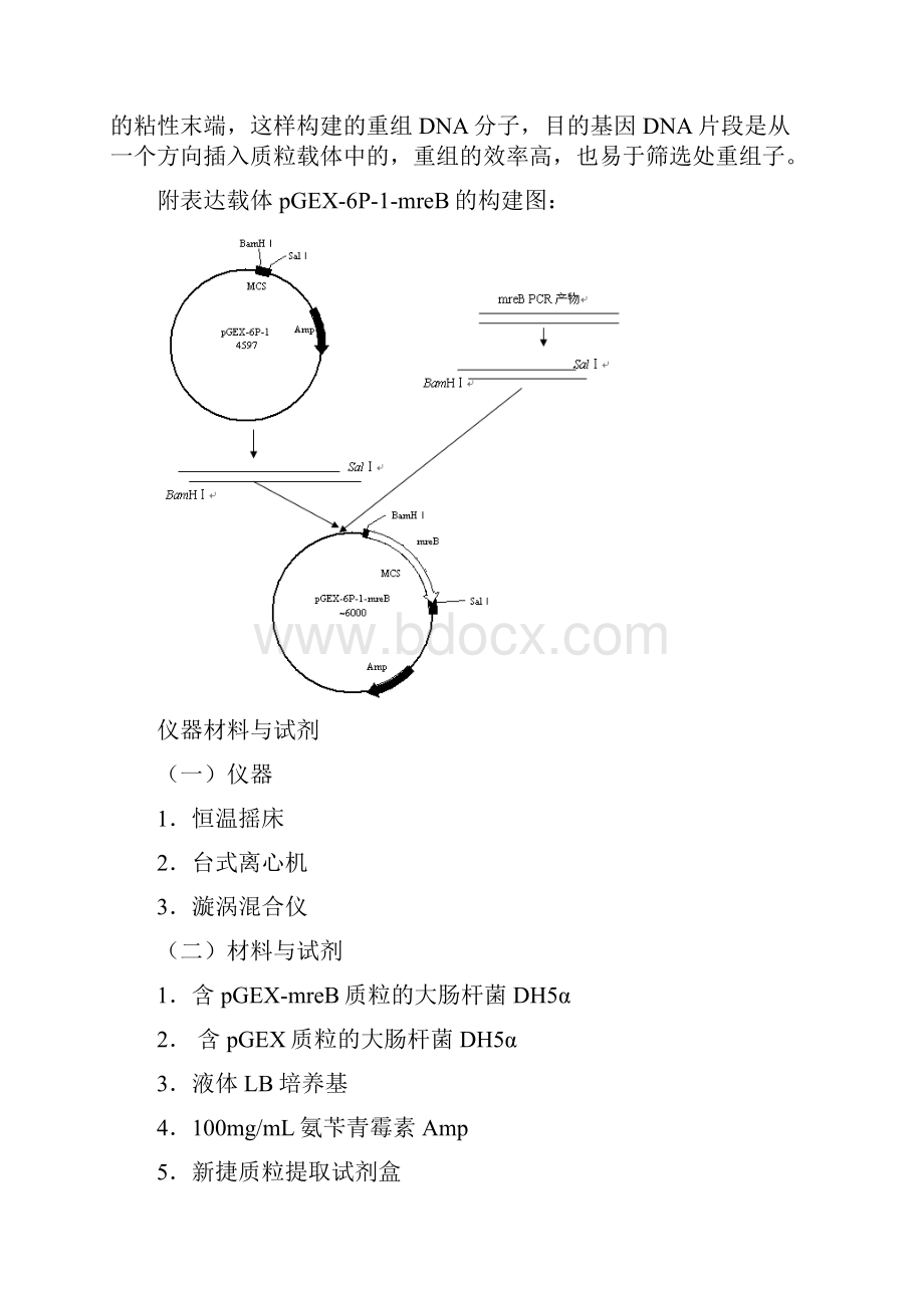 基因工程实验教学教案.docx_第2页