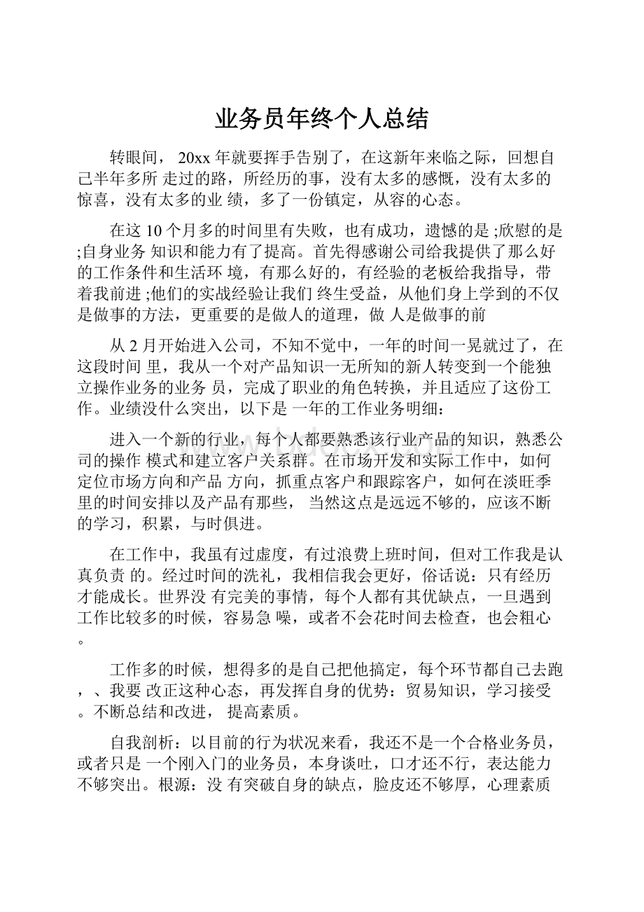 业务员年终个人总结.docx_第1页