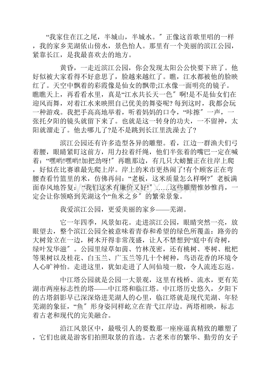 美丽的滨江公园作文15篇范文.docx_第2页