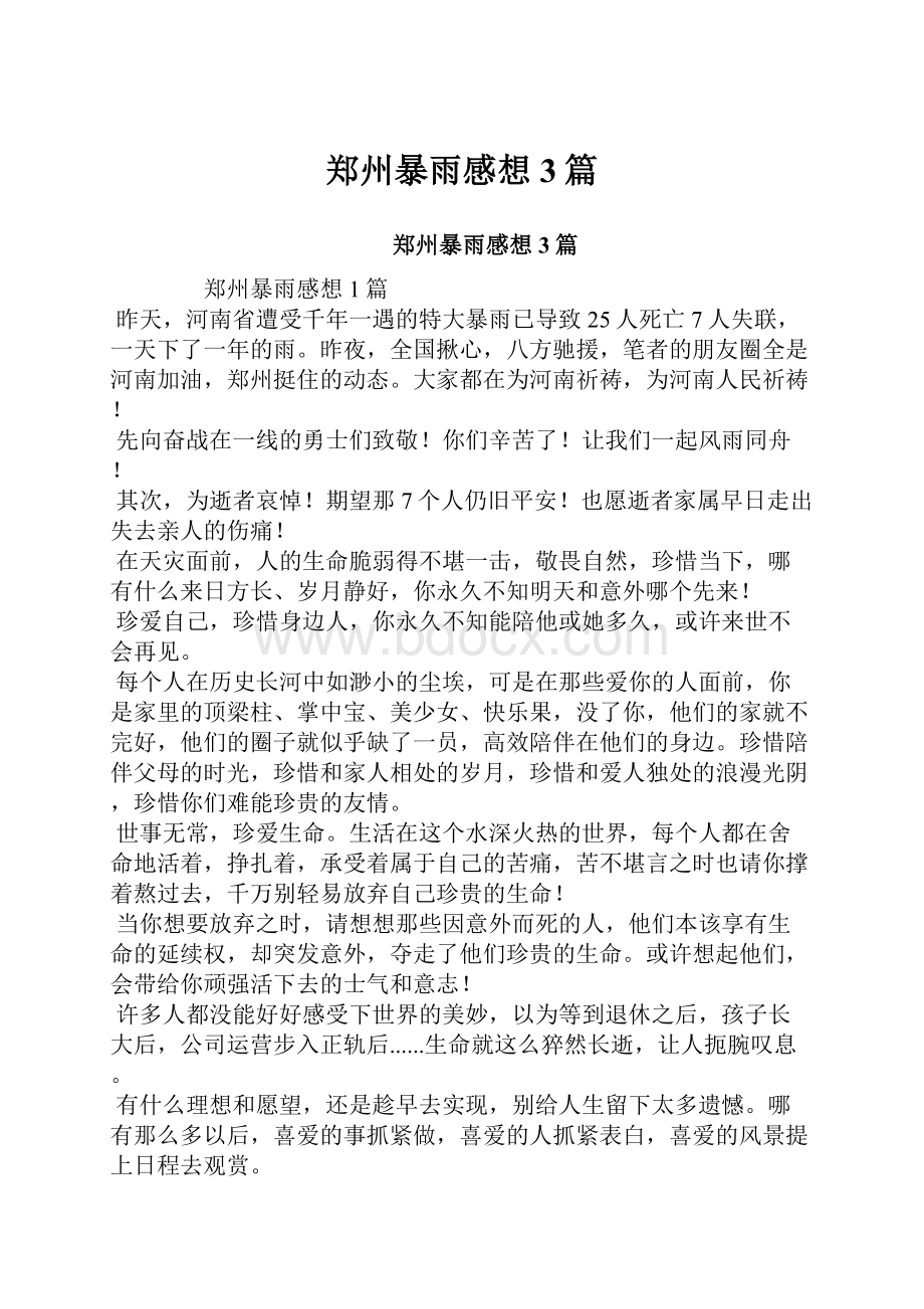 郑州暴雨感想3篇.docx