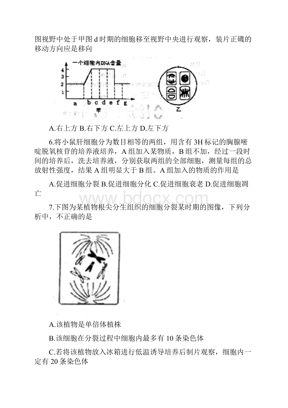 天津市红桥区高三上学期期末考试下学期开学考试生物试题有答案最新精品.docx_第2页