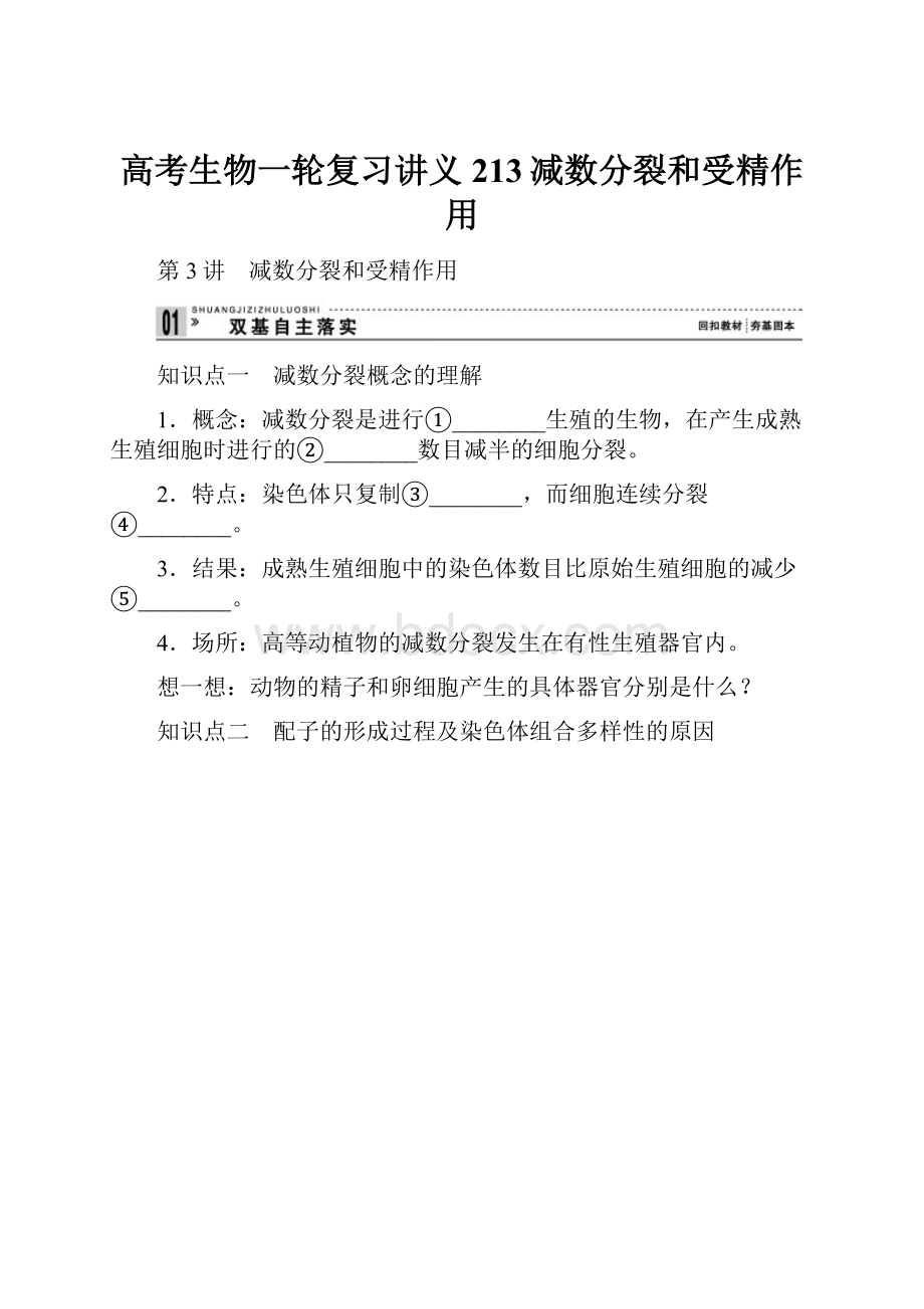 高考生物一轮复习讲义213减数分裂和受精作用.docx