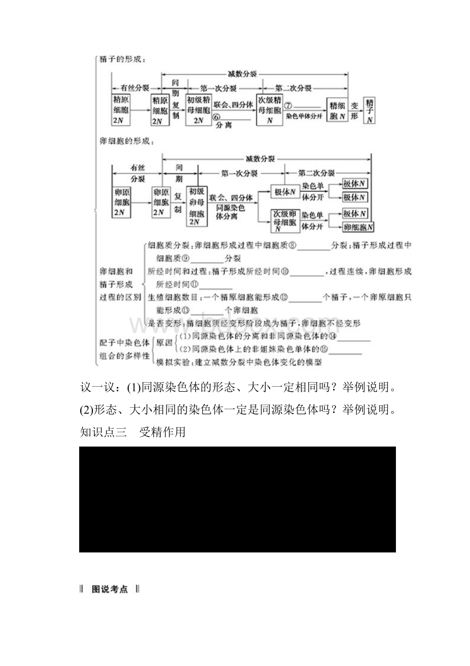 高考生物一轮复习讲义213减数分裂和受精作用.docx_第2页