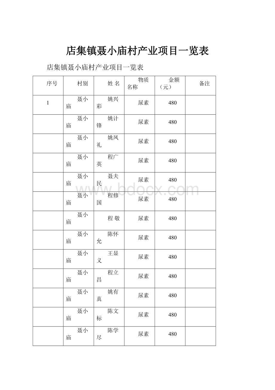 店集镇聂小庙村产业项目一览表.docx