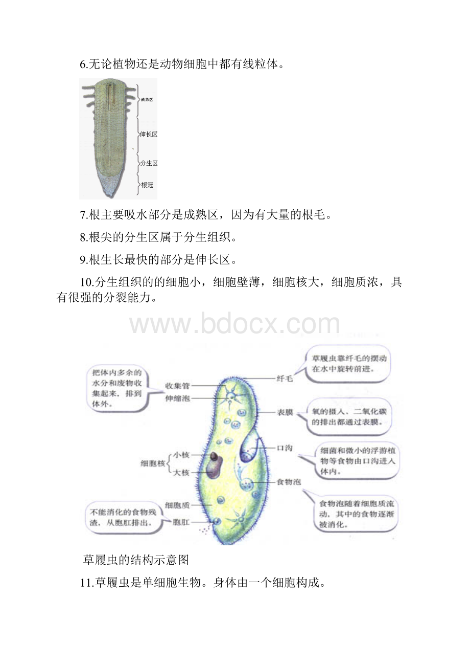 初中生物总复习重点图.docx_第2页