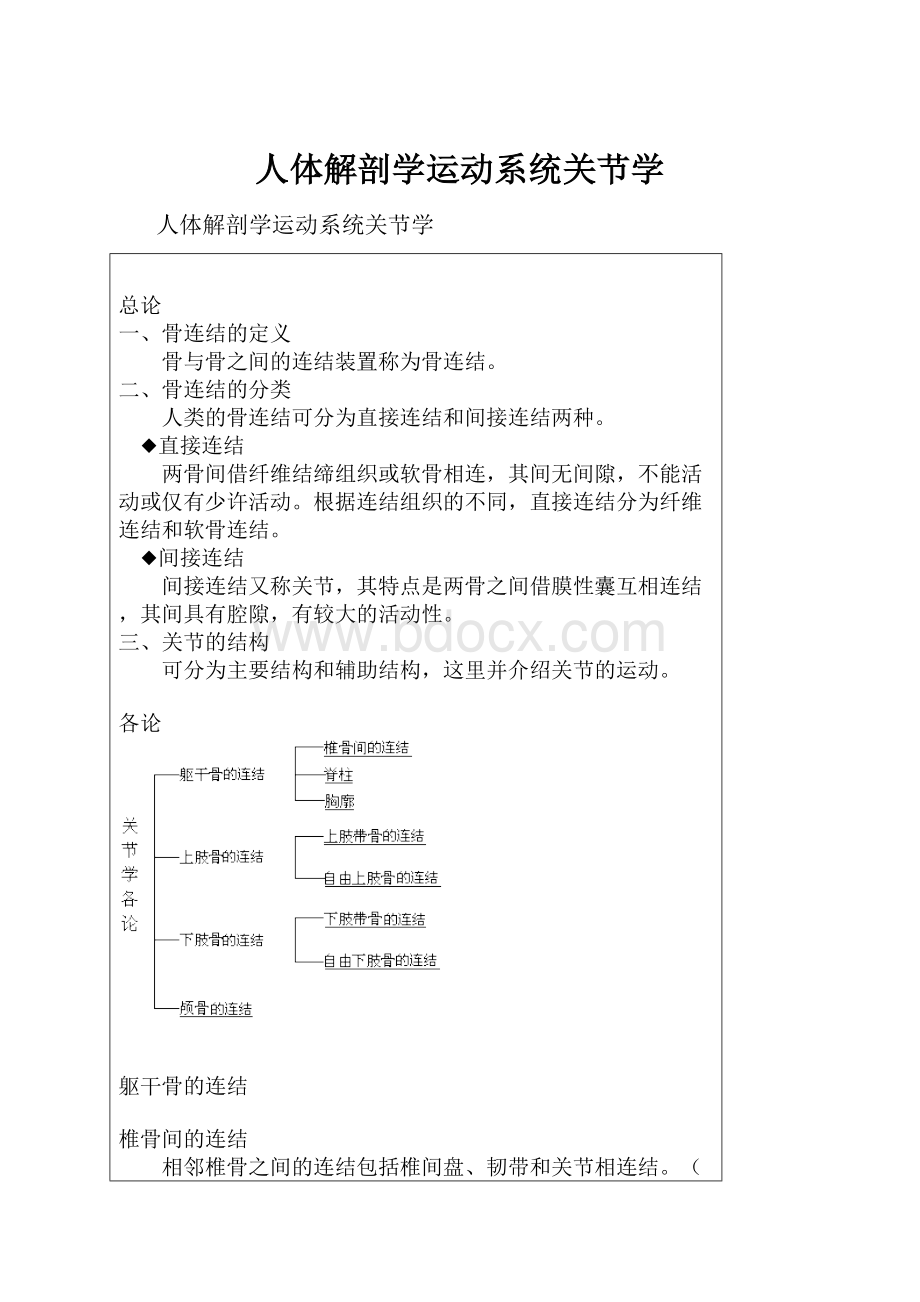 人体解剖学运动系统关节学.docx