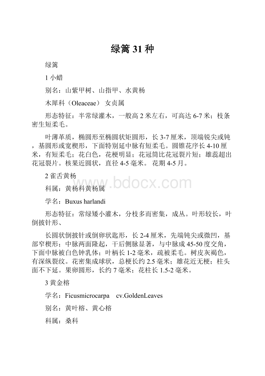 绿篱31种.docx