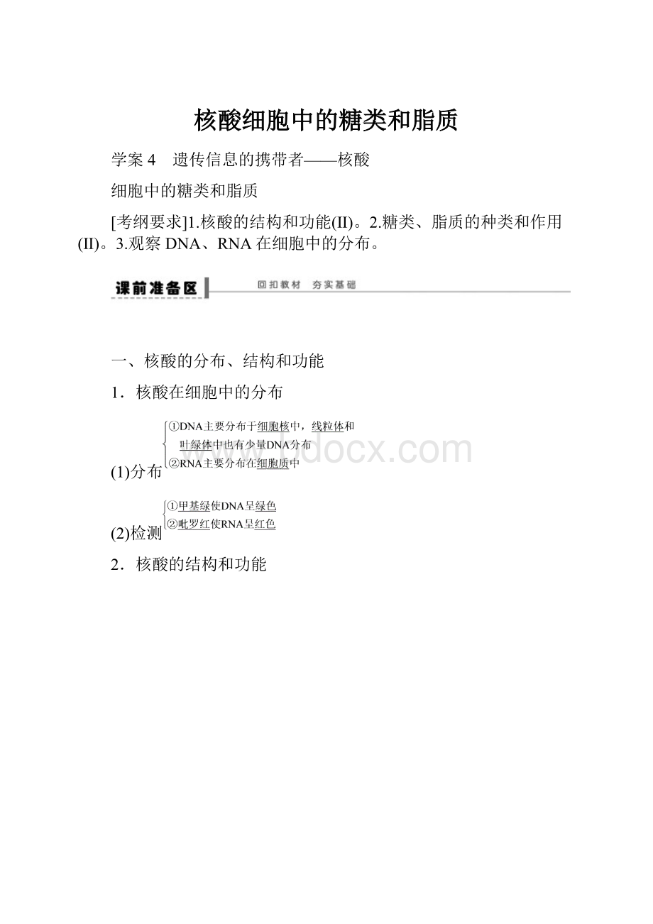 核酸细胞中的糖类和脂质.docx