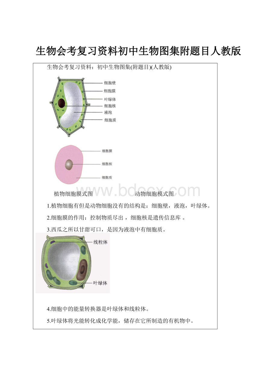 生物会考复习资料初中生物图集附题目人教版.docx