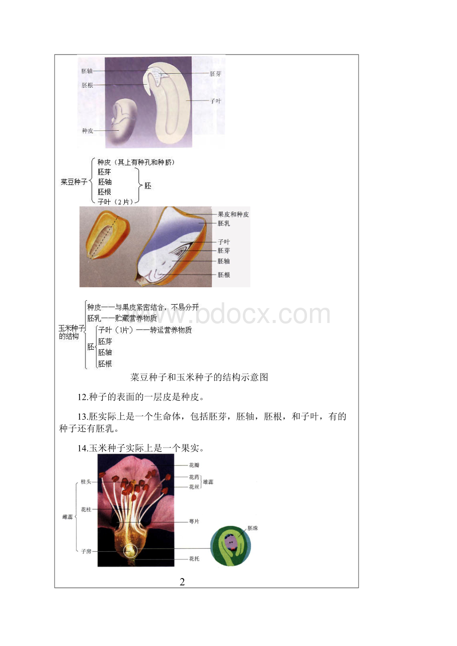 生物会考复习资料初中生物图集附题目人教版.docx_第3页