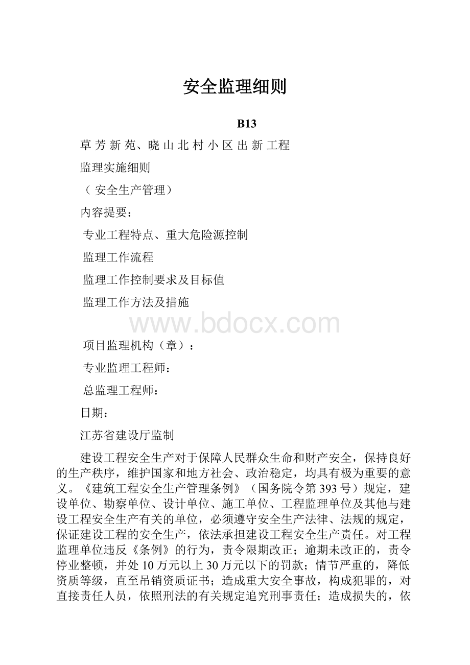 安全监理细则.docx_第1页