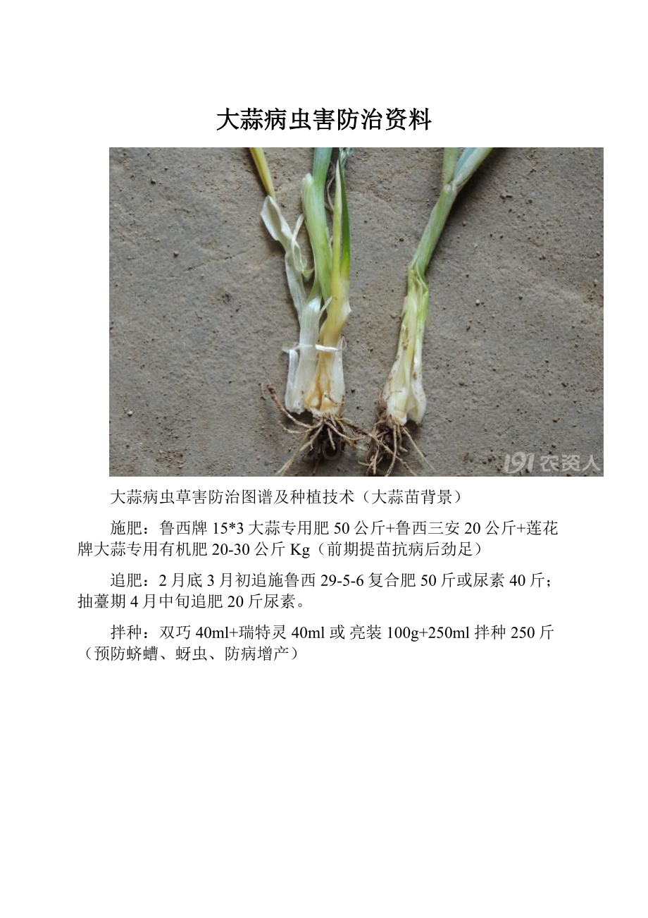 大蒜病虫害防治资料.docx_第1页