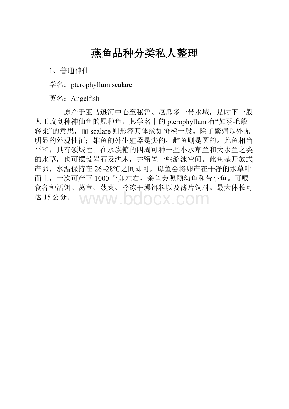 燕鱼品种分类私人整理.docx