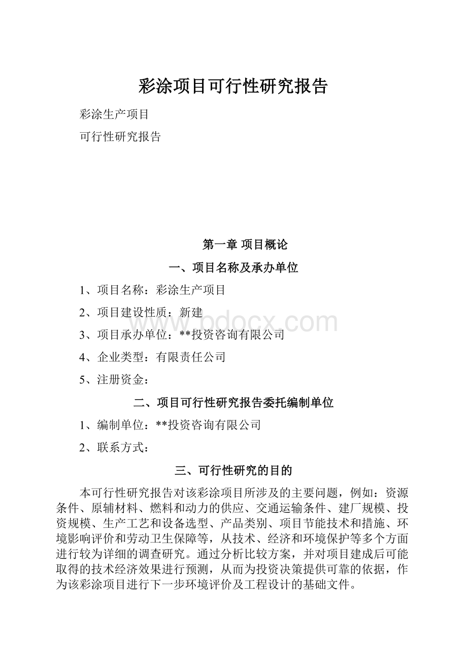 彩涂项目可行性研究报告.docx