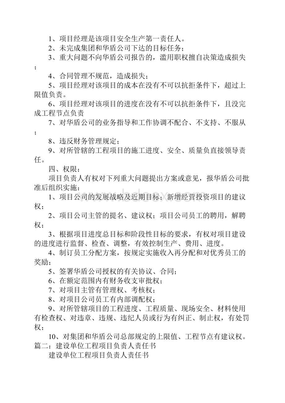 建设单位工程项目负责人责任书.docx_第3页