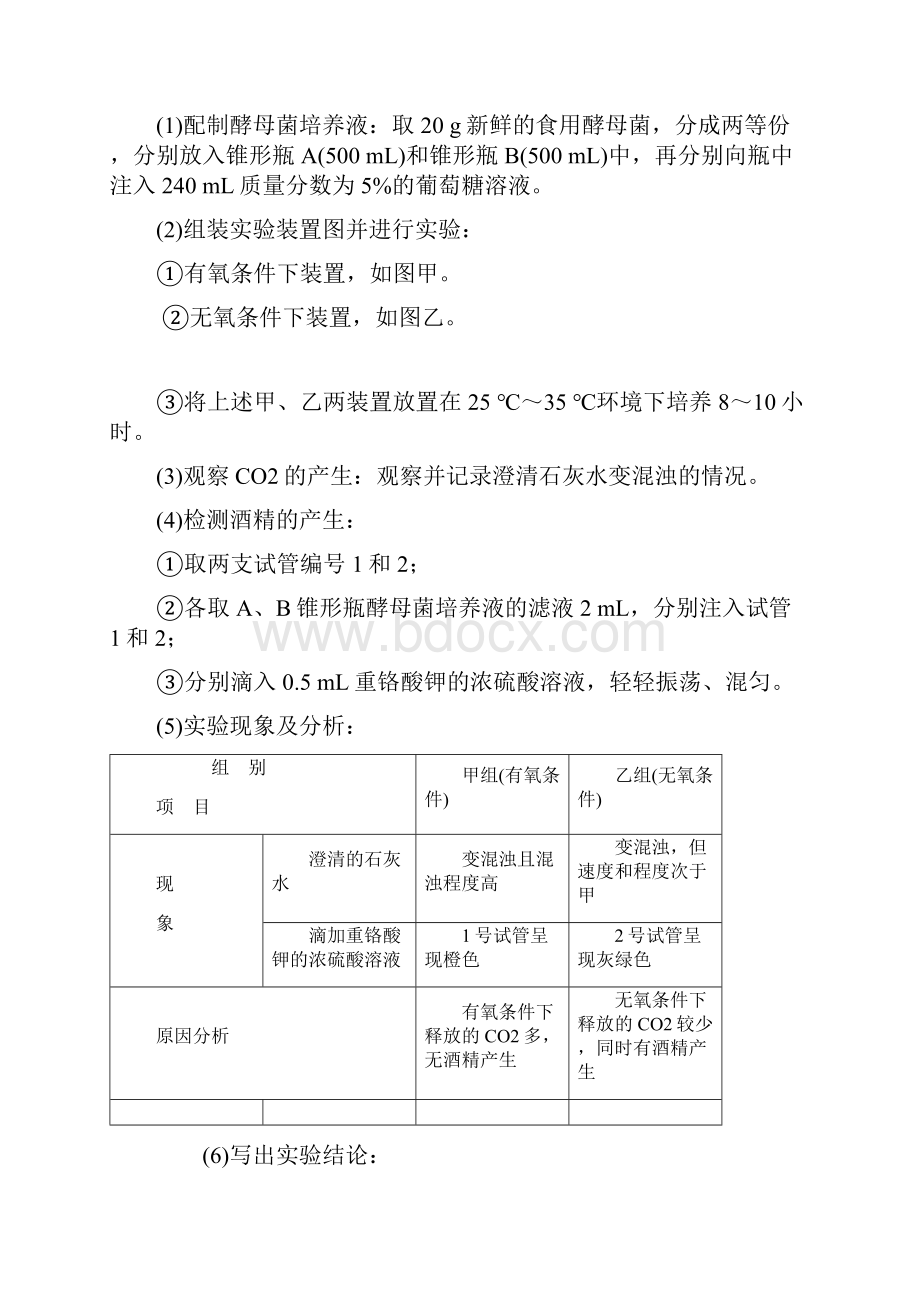 高中生物第5章第3节第1课时细胞呼吸的方式教案新人教版必修1.docx_第2页