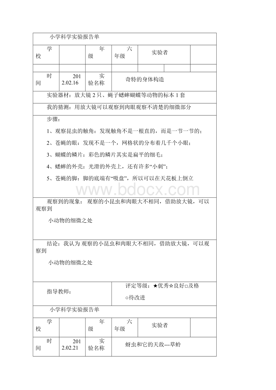 六年级下册科学实验报告.docx_第3页