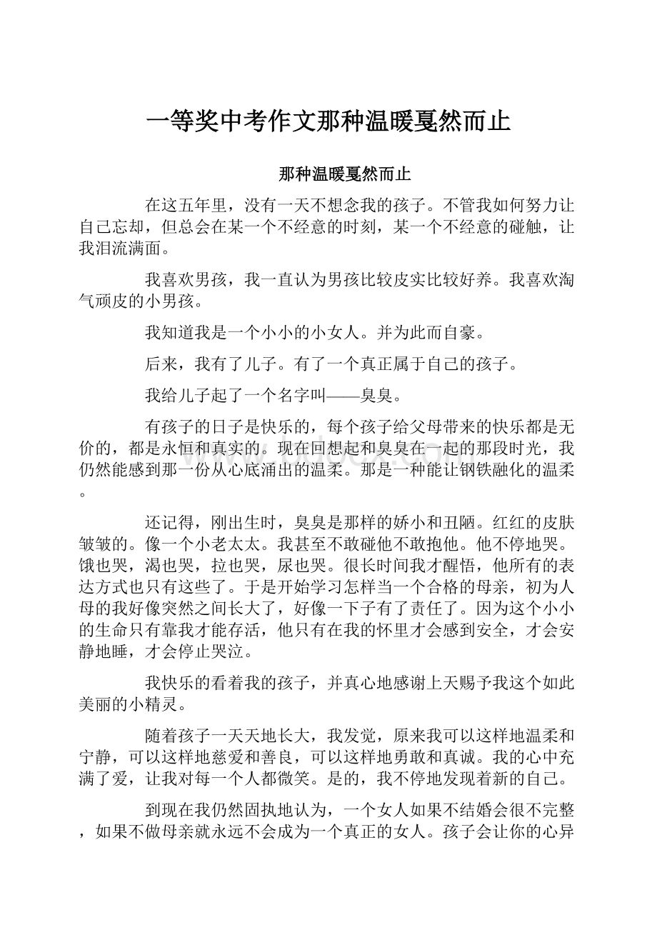 一等奖中考作文那种温暖戛然而止.docx