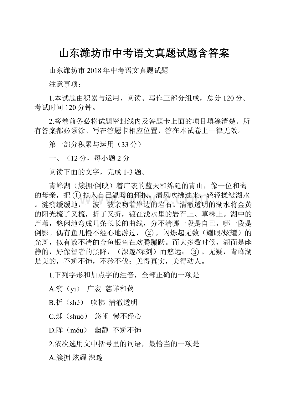 山东潍坊市中考语文真题试题含答案.docx