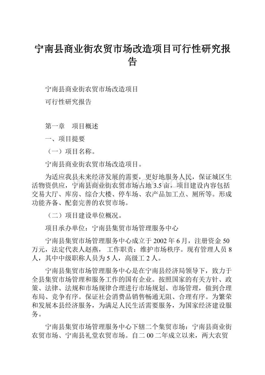 宁南县商业街农贸市场改造项目可行性研究报告.docx