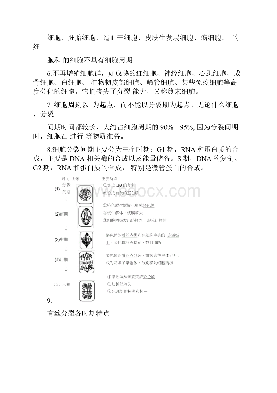 有丝分裂和减数分裂知识点总结大全.docx_第2页