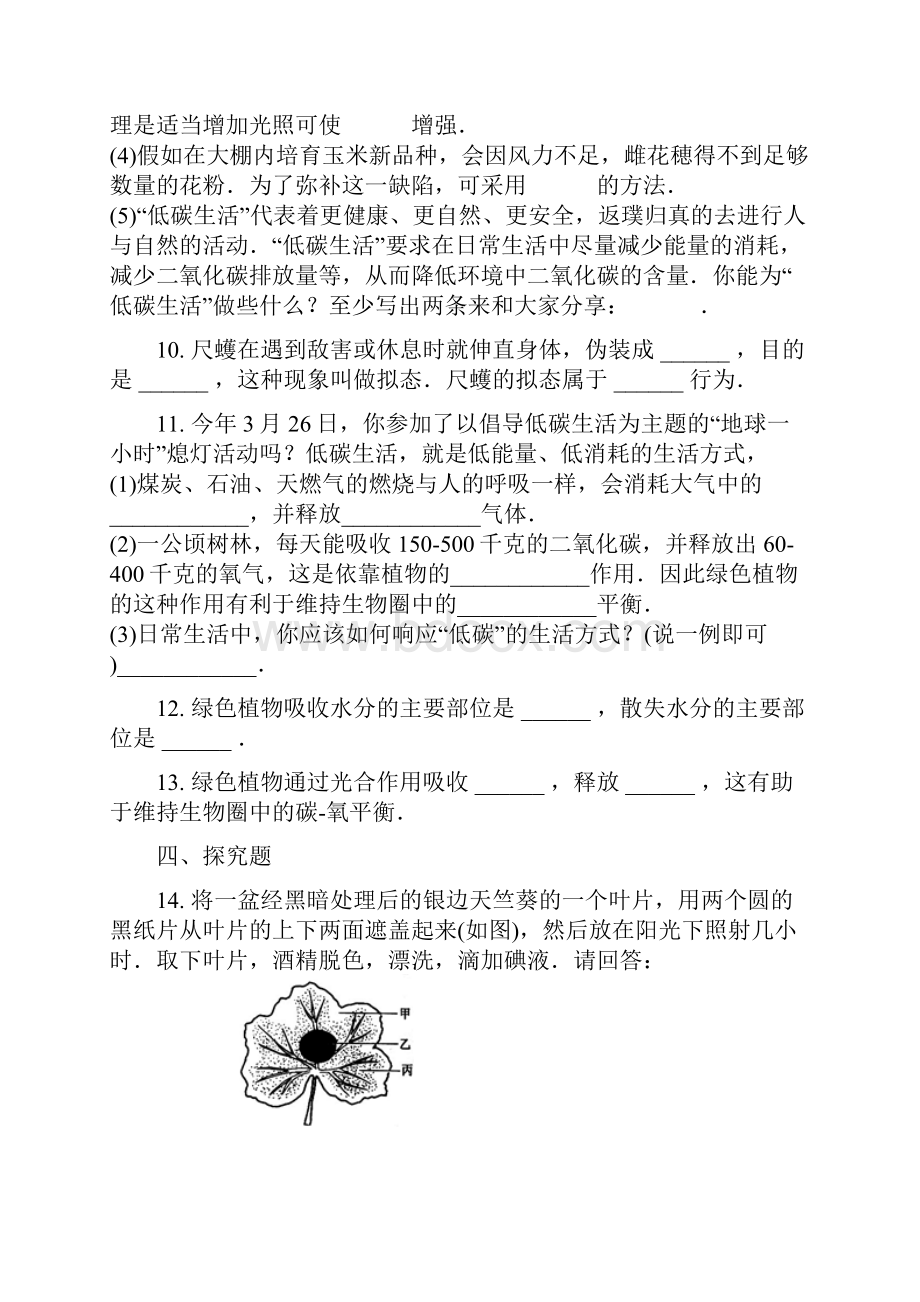 学年七年级生物上册34绿色植物是生物圈中有机物的制造者同步练习新人教版.docx_第3页