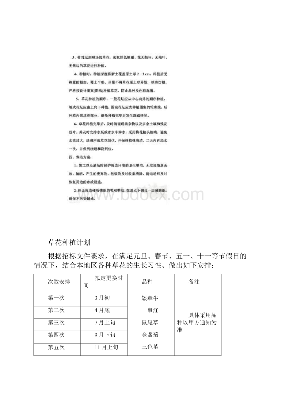 草花种植方案.docx_第2页