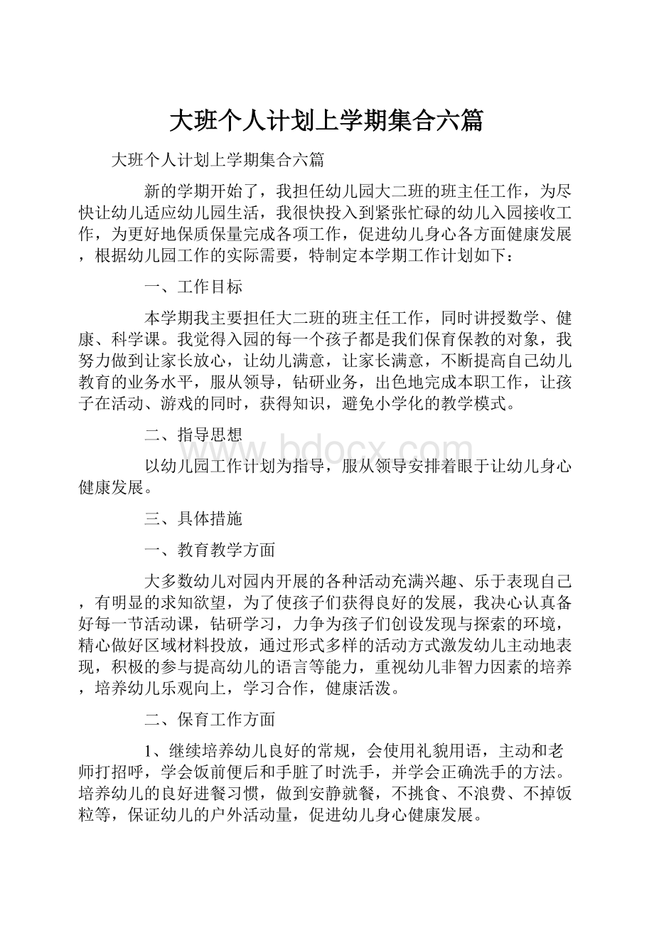 大班个人计划上学期集合六篇.docx