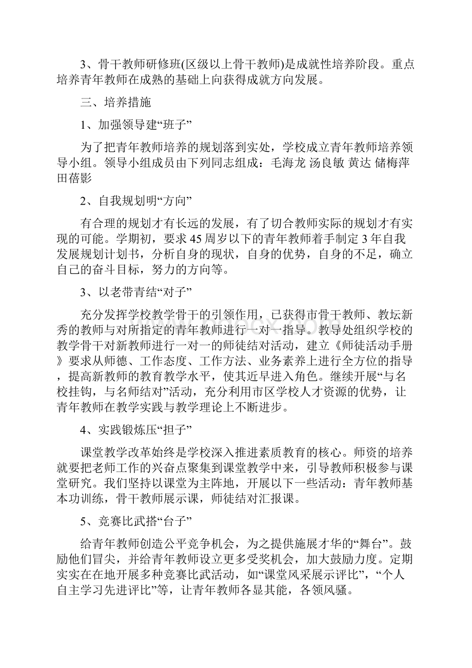 教师分层培养计划.docx_第2页