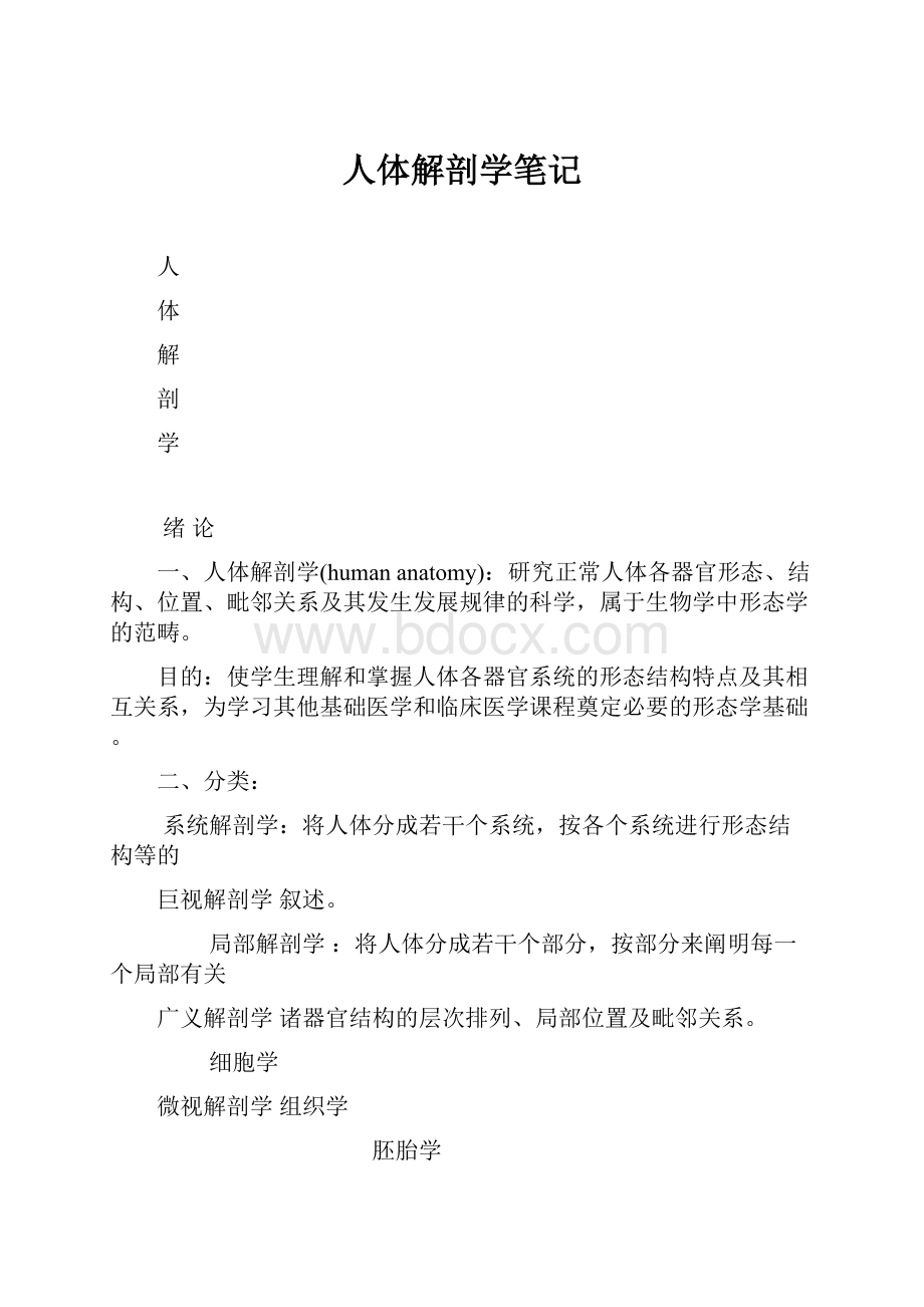 人体解剖学笔记.docx_第1页