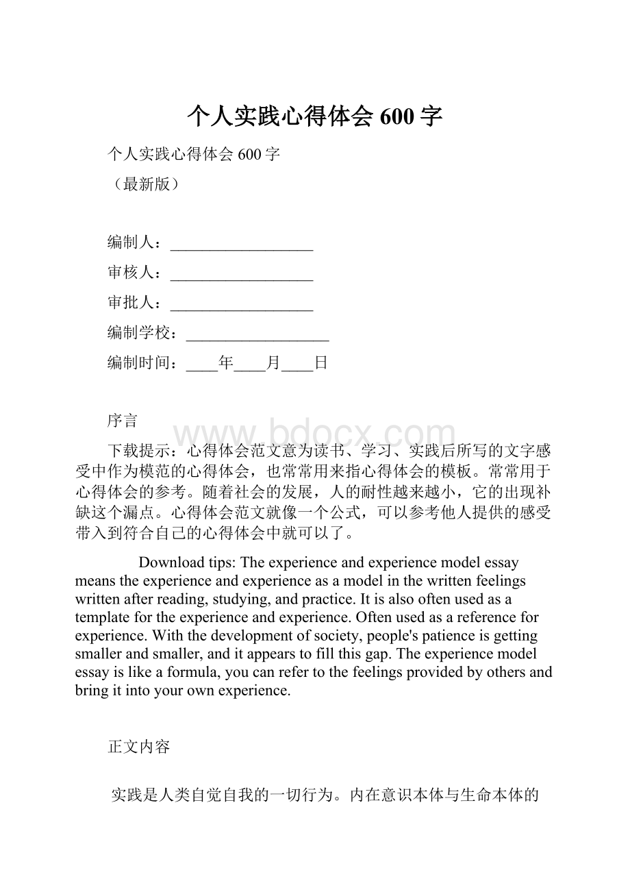 个人实践心得体会600字.docx