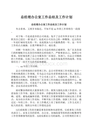 总经理办公室工作总结及工作计划.docx