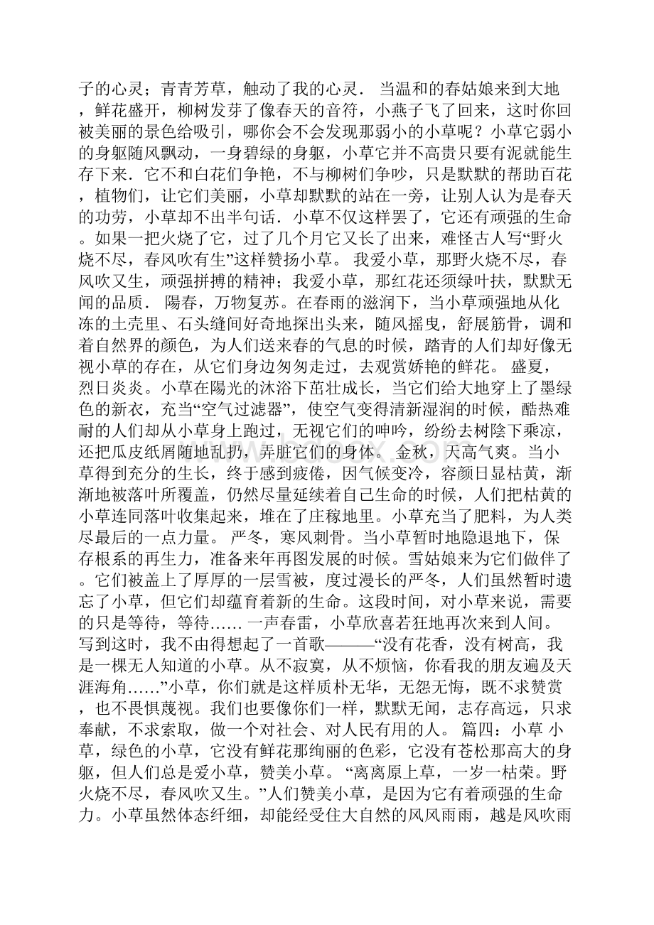 观察小草的作文.docx_第2页