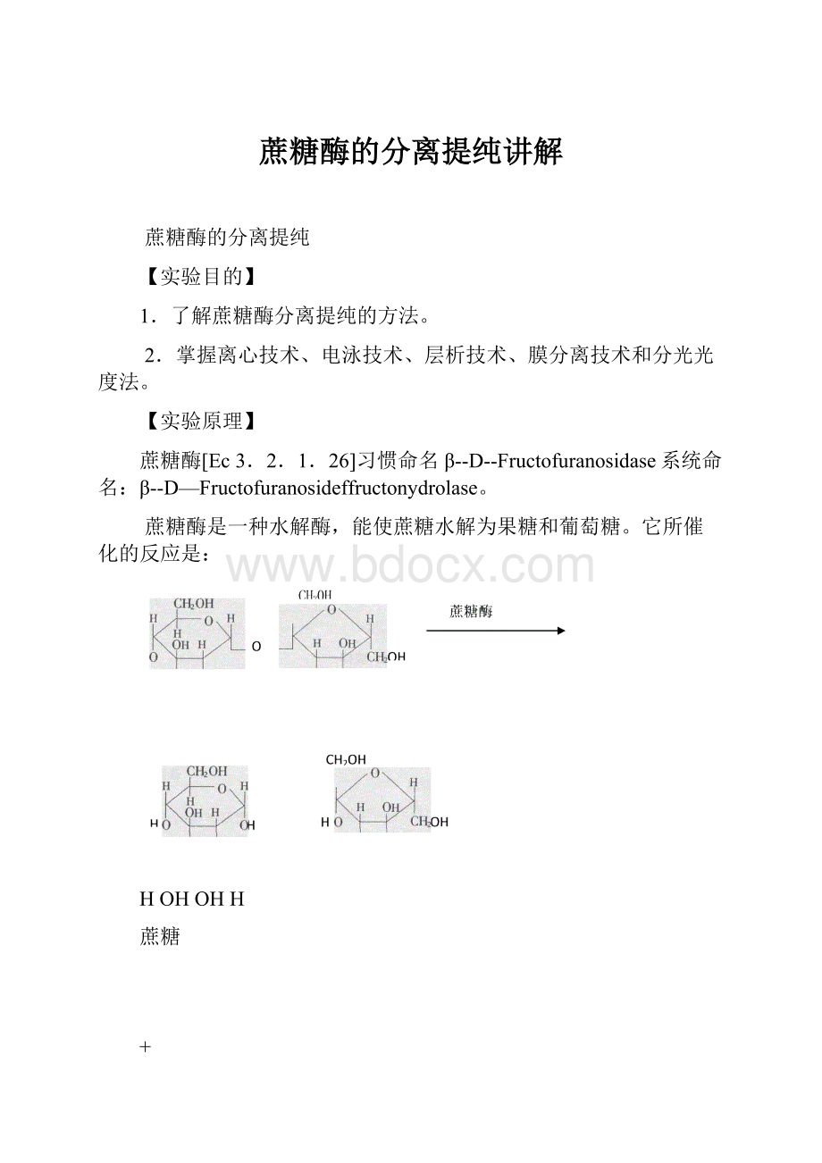 蔗糖酶的分离提纯讲解.docx_第1页