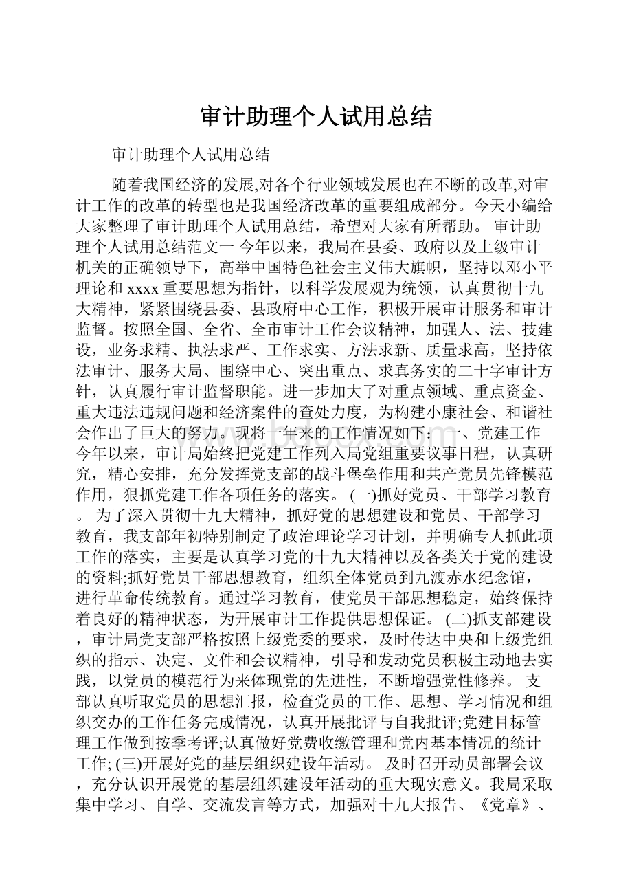 审计助理个人试用总结.docx