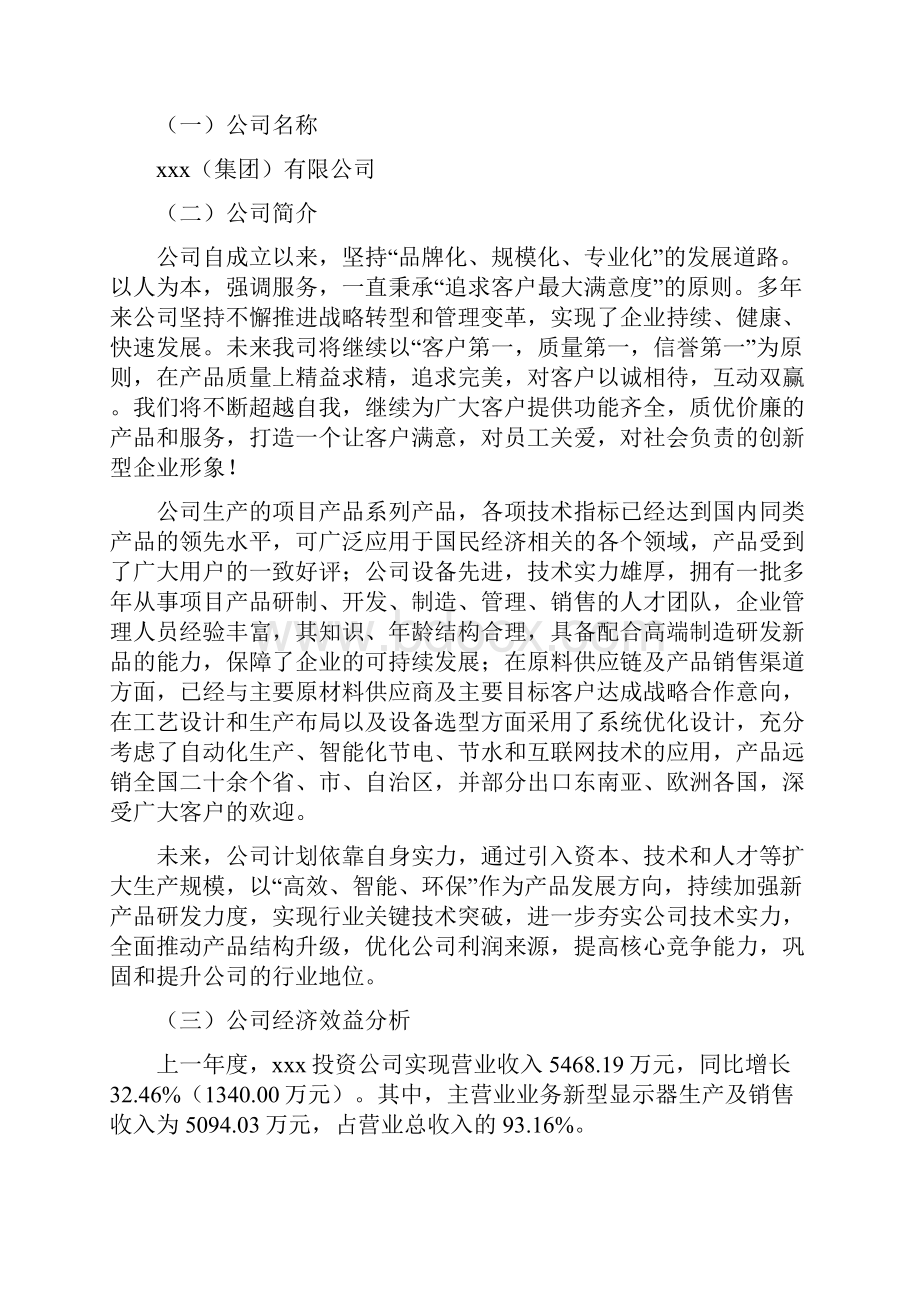 新型显示器项目可行性研究报告.docx_第2页