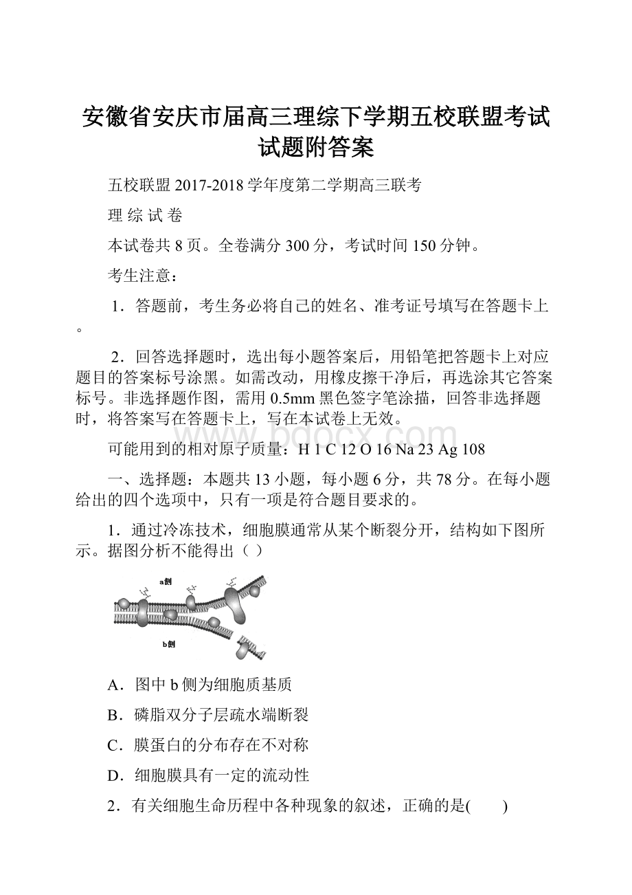 安徽省安庆市届高三理综下学期五校联盟考试试题附答案.docx_第1页