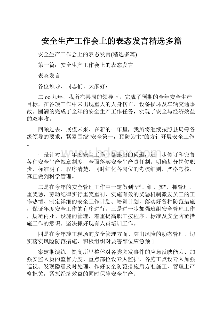 安全生产工作会上的表态发言精选多篇.docx