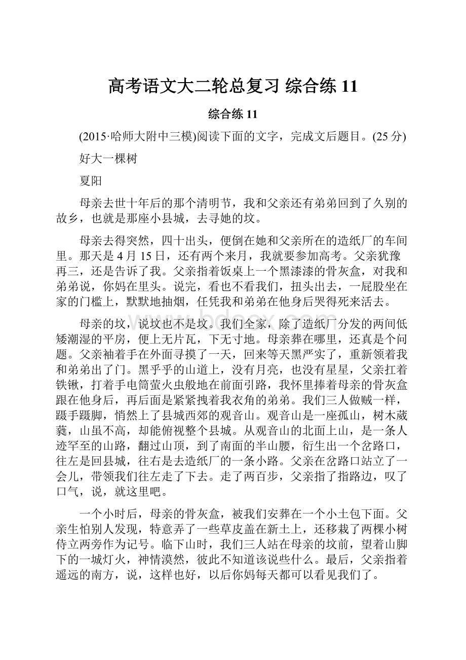 高考语文大二轮总复习 综合练11.docx